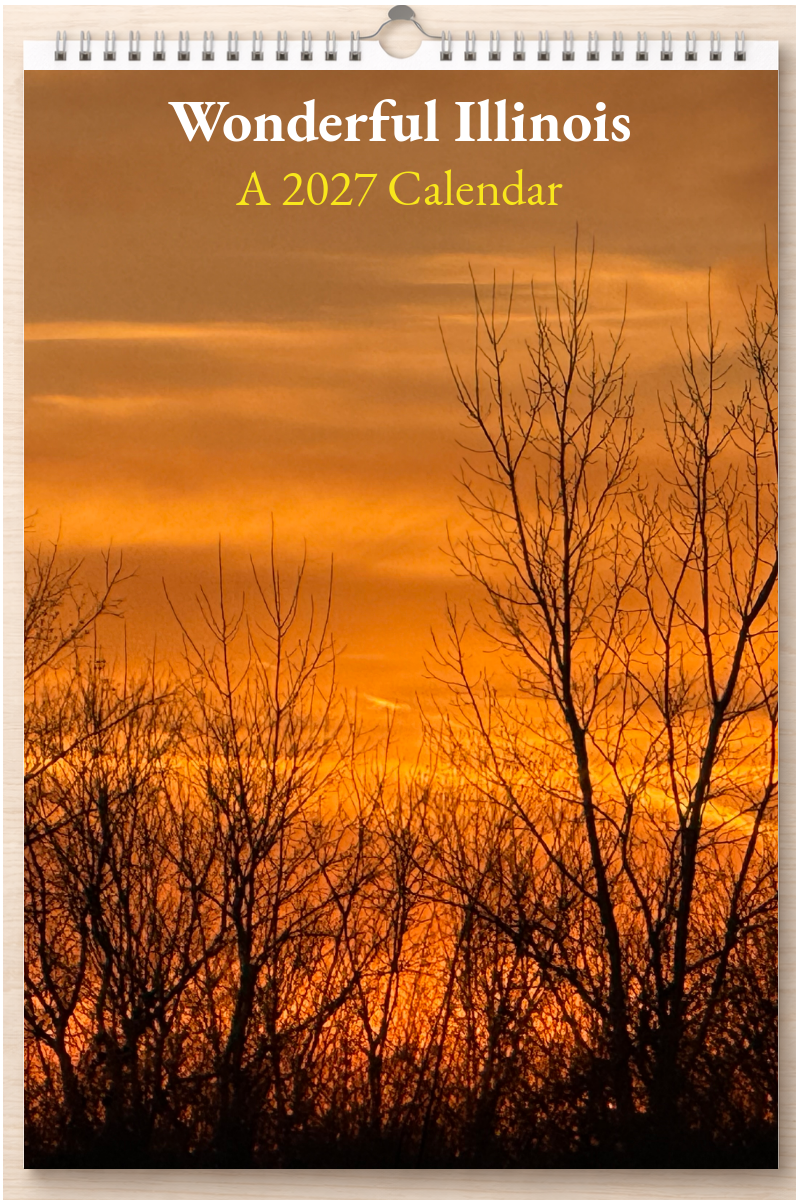 Wonderful Illinois: A 2027 Calendar