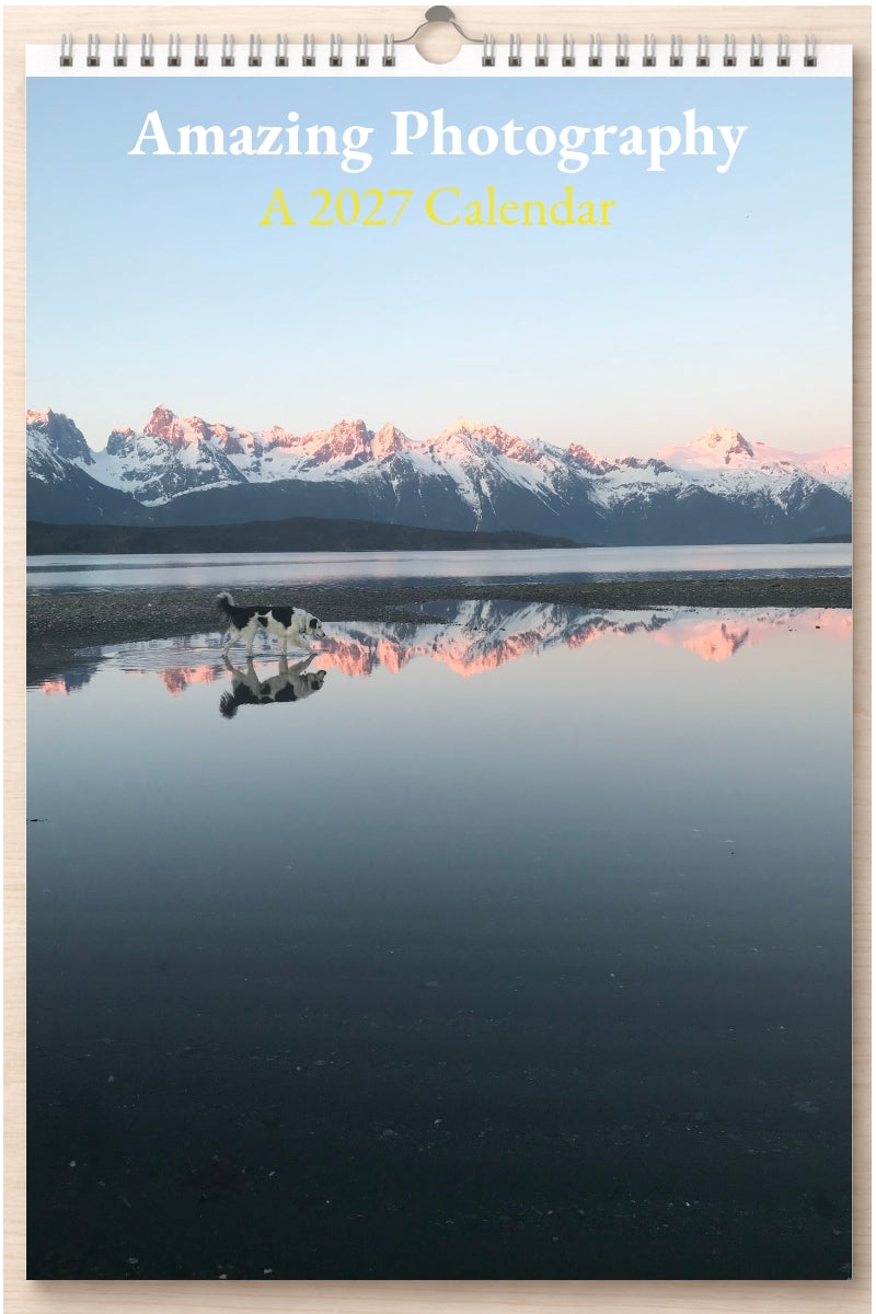 Amazing Photography: A 2027 Calendar