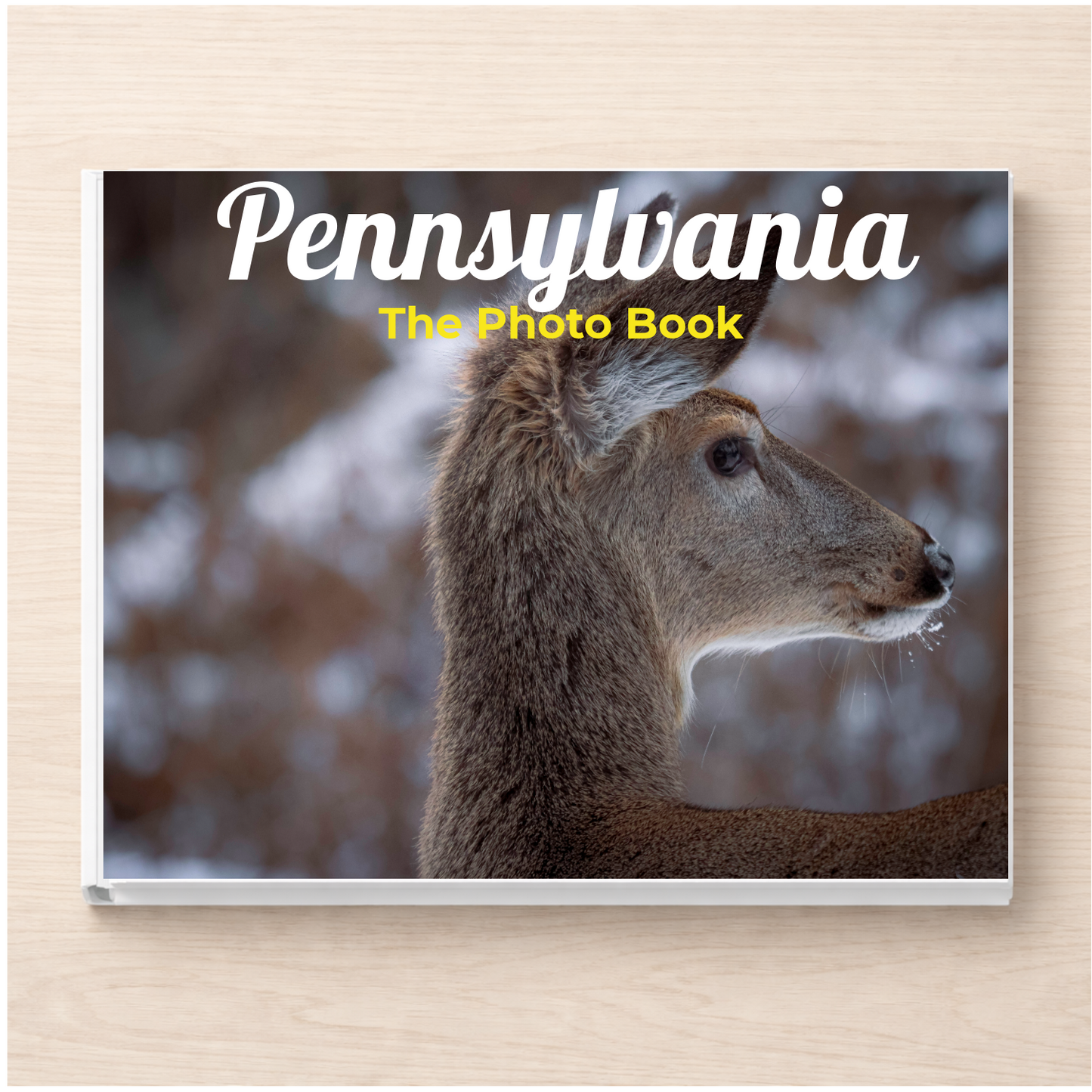 Pennsylvania: The Photo Book