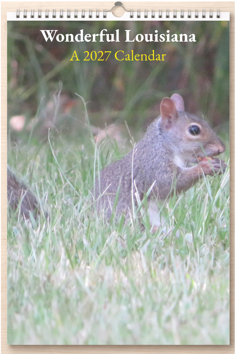 Wonderful Louisiana: A 2027 Calendar