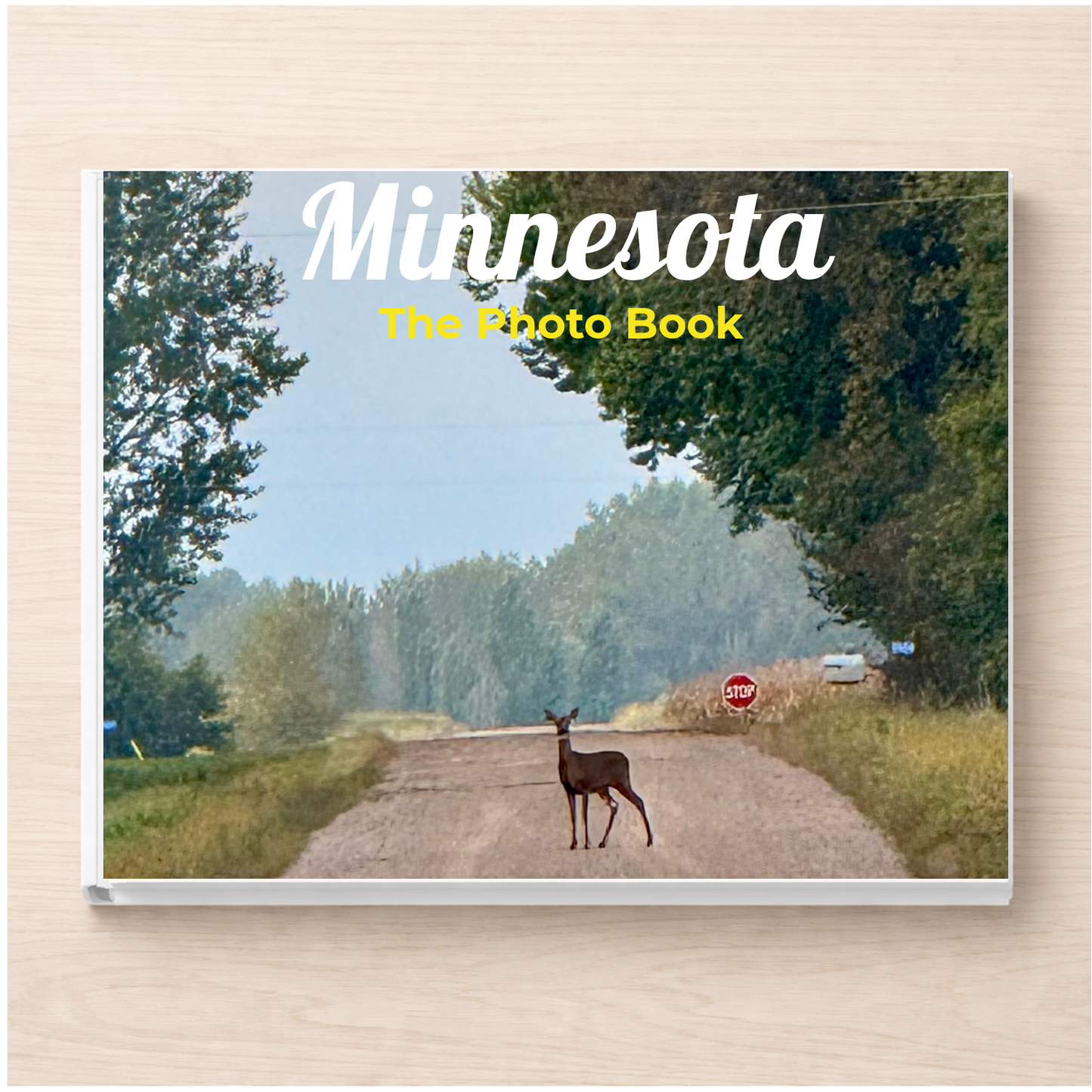 Minnesota: The Photo Book