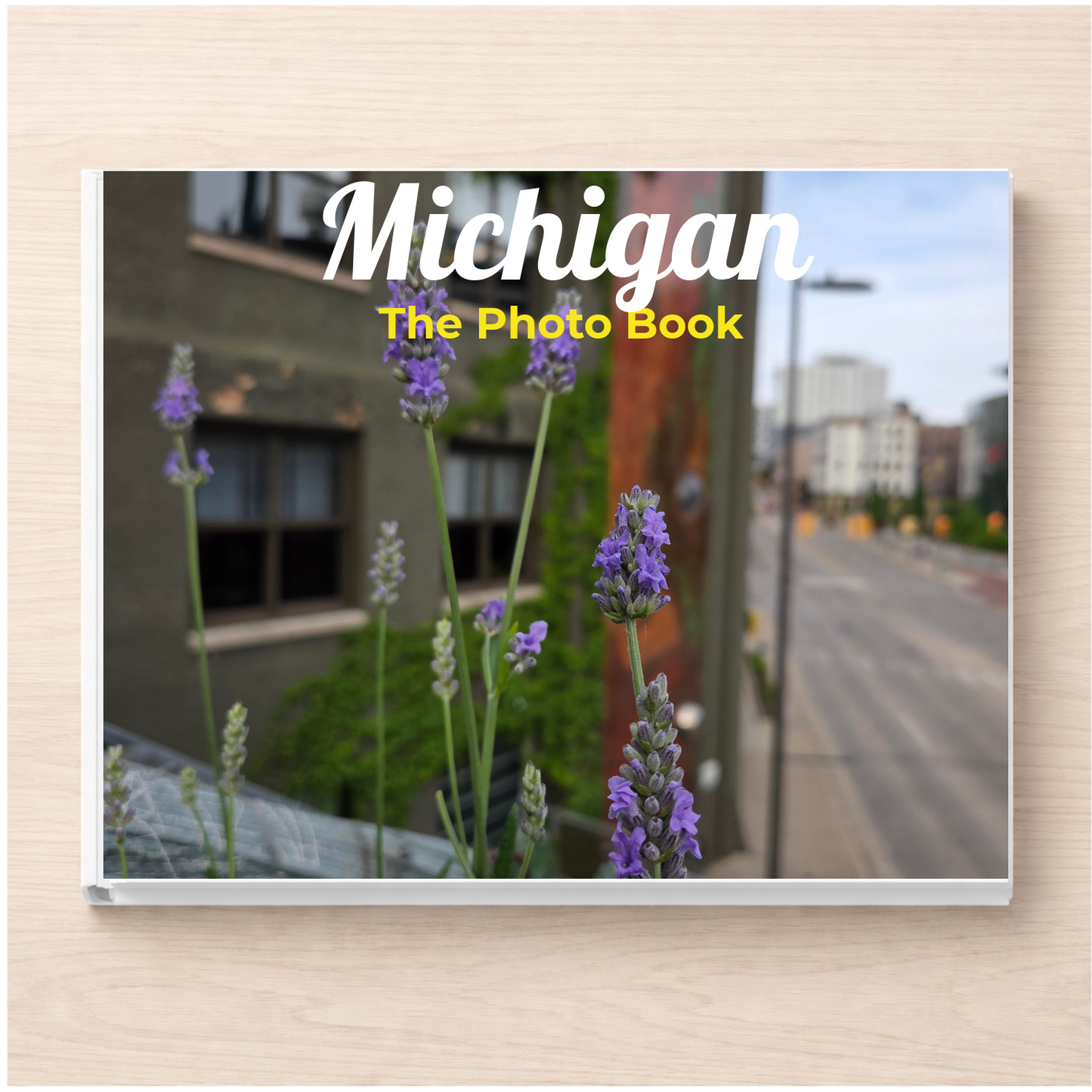 Michigan: The Photo Book