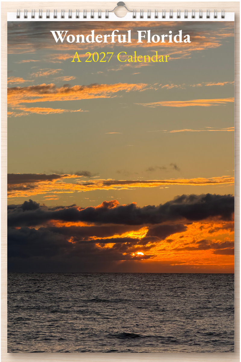 Wonderful Florida: A 2027 Calendar