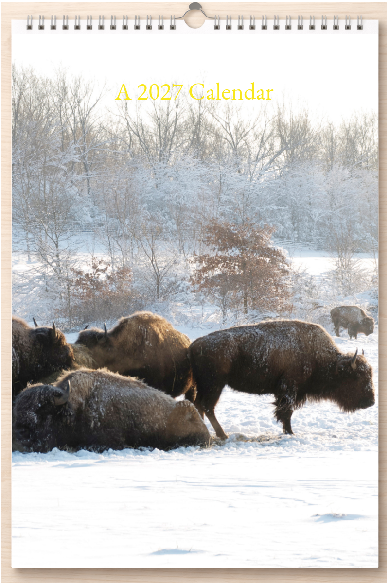 Wonderful Tennessee: A 2027 Calendar