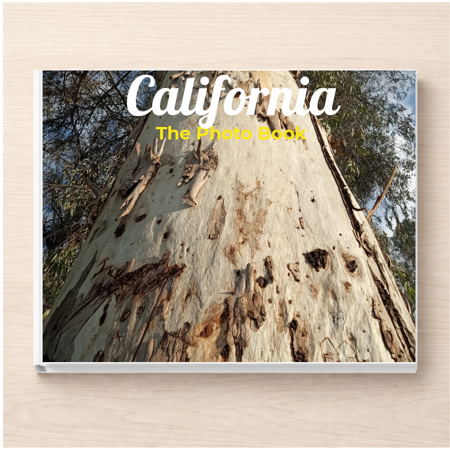 California: The Photo Book