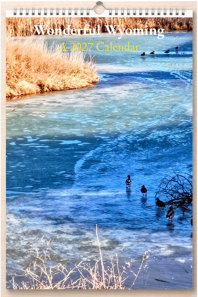Wonderful Wyoming: A 2027 Calendar