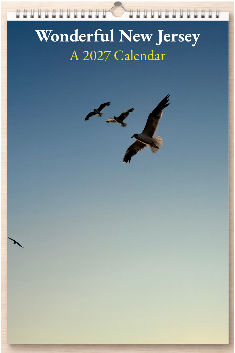 Wonderful New Jersey: A 2027 Calendar