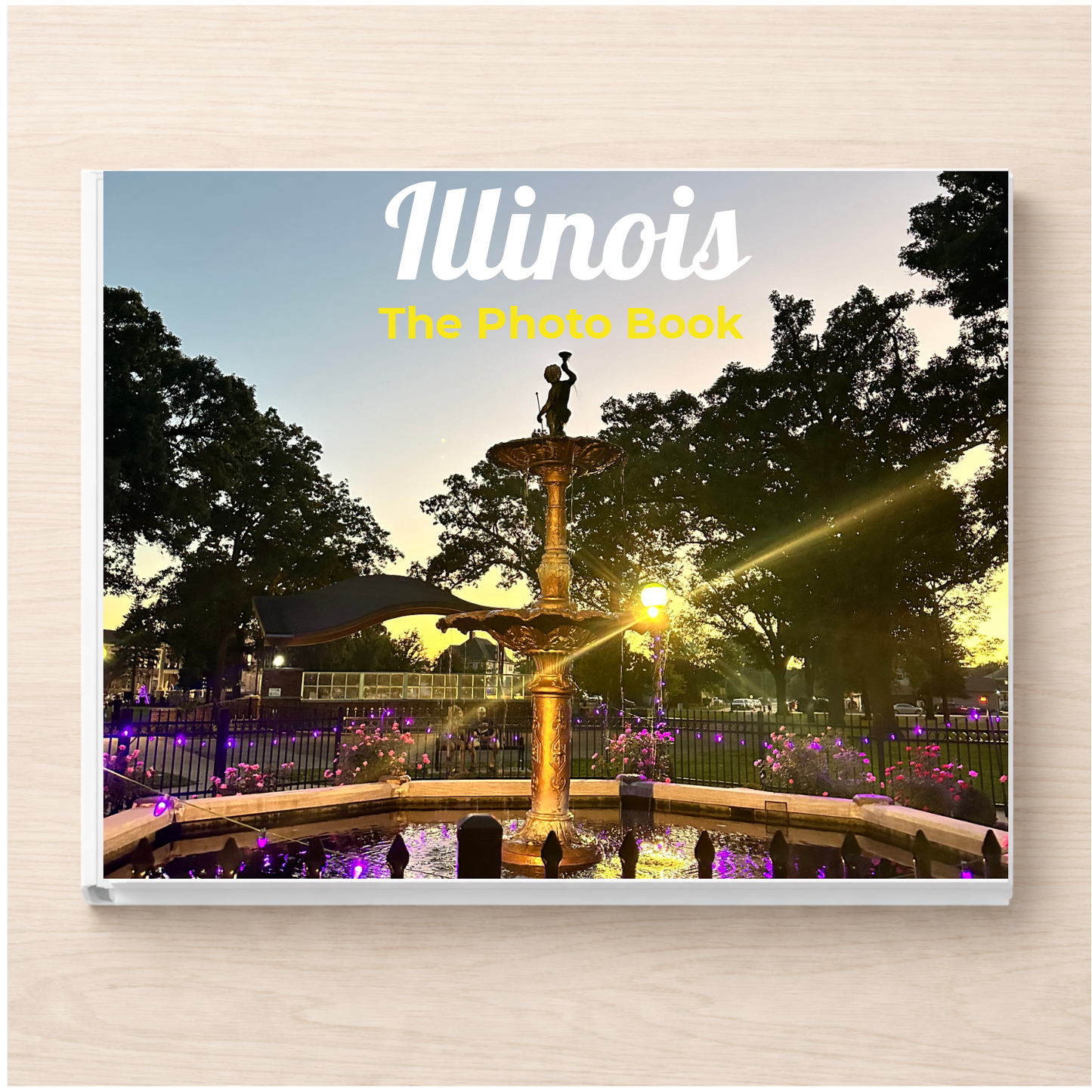Illinois: The Photo Book