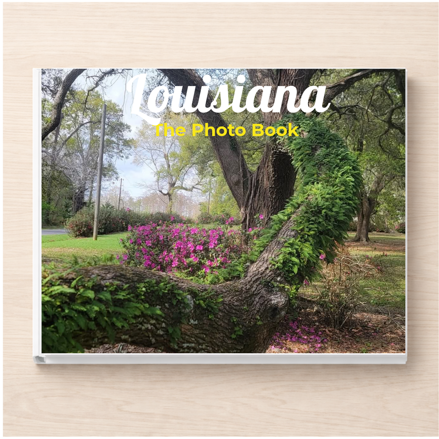 Louisiana: The Photo Book