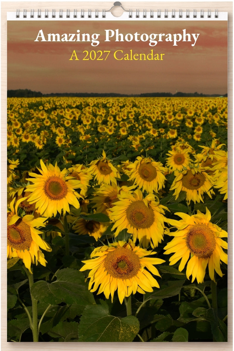 Amazing Photography: A 2027 Calendar