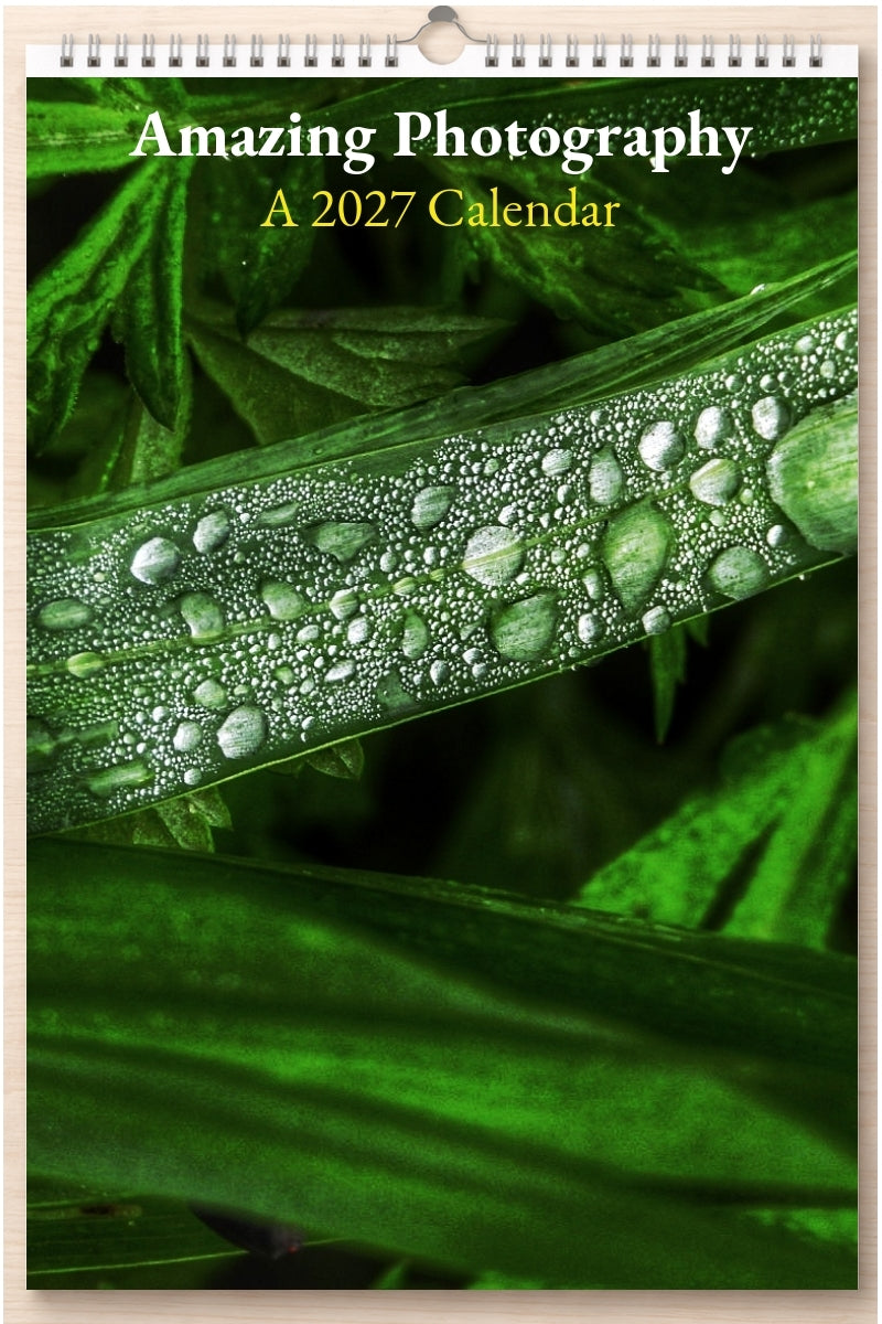 Amazing Photography: A 2027 Calendar
