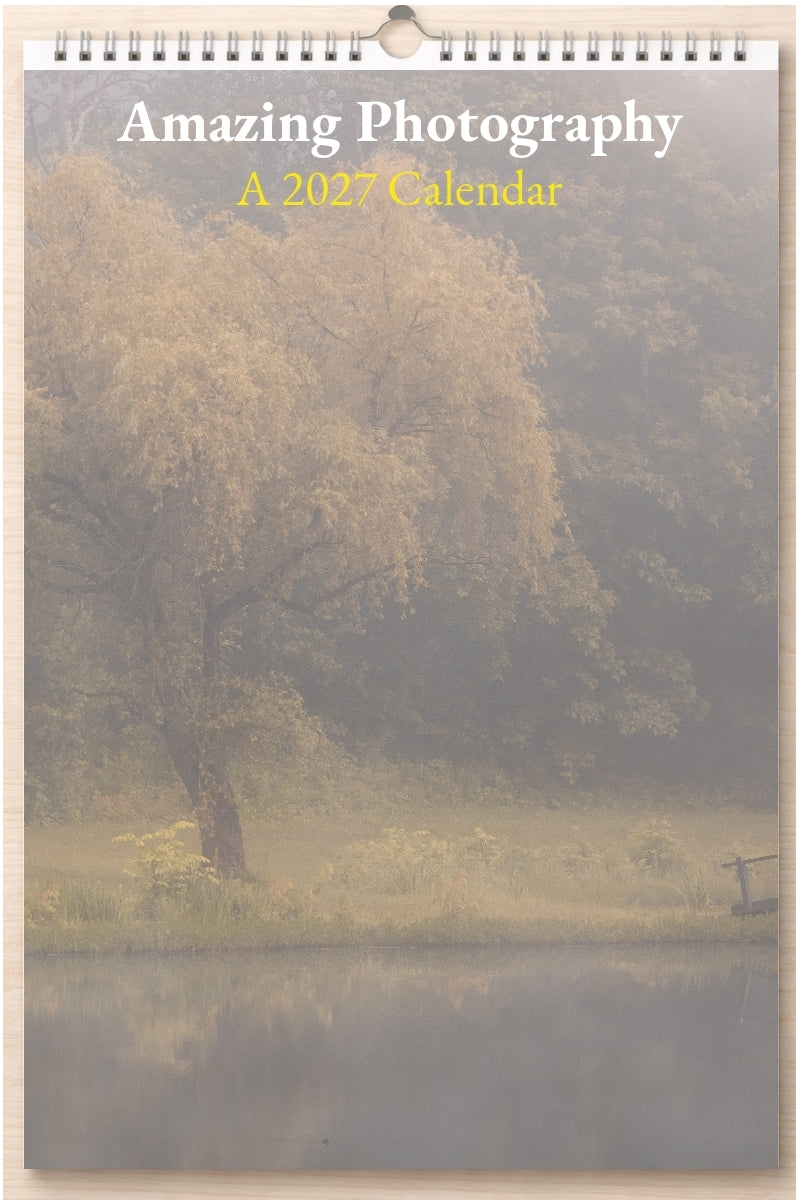 Amazing Photography: A 2027 Calendar