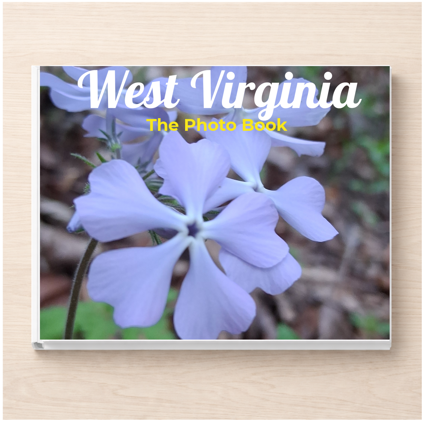 West Virginia: The Photo Book