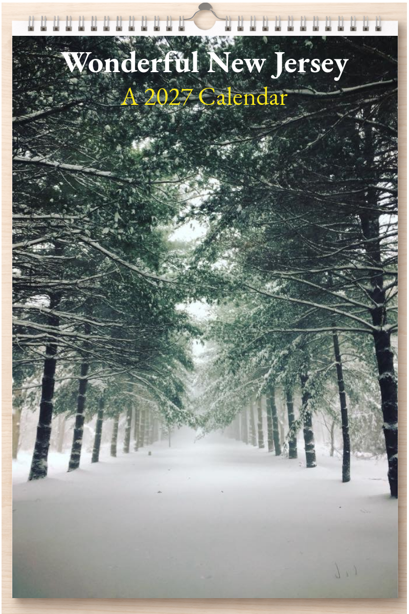 Wonderful New Jersey: A 2027 Calendar