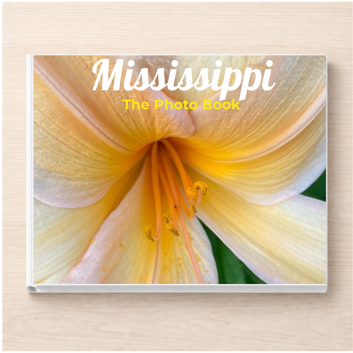 Mississippi: The Photo Book