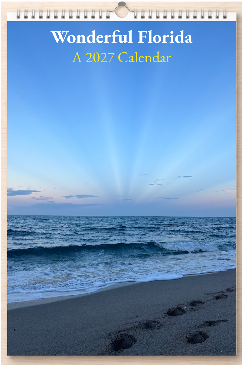 Wonderful Florida: A 2027 Calendar