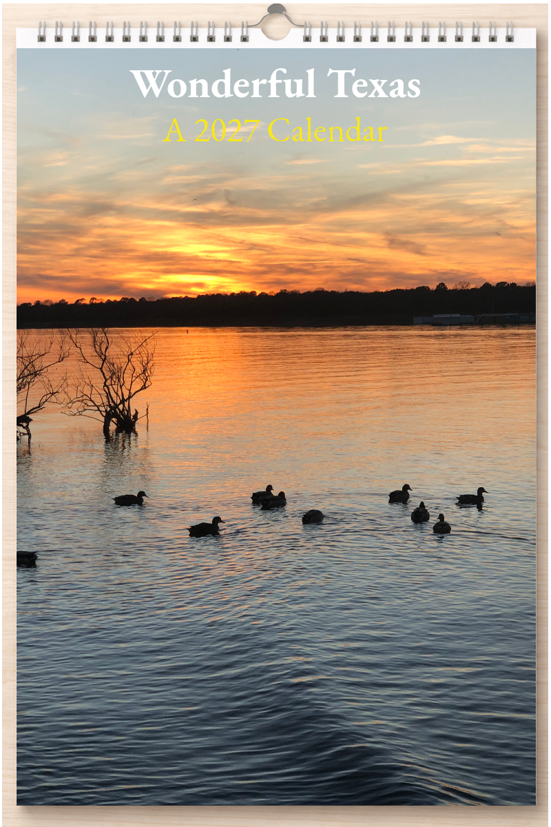 Wonderful Texas: A 2027 Calendar