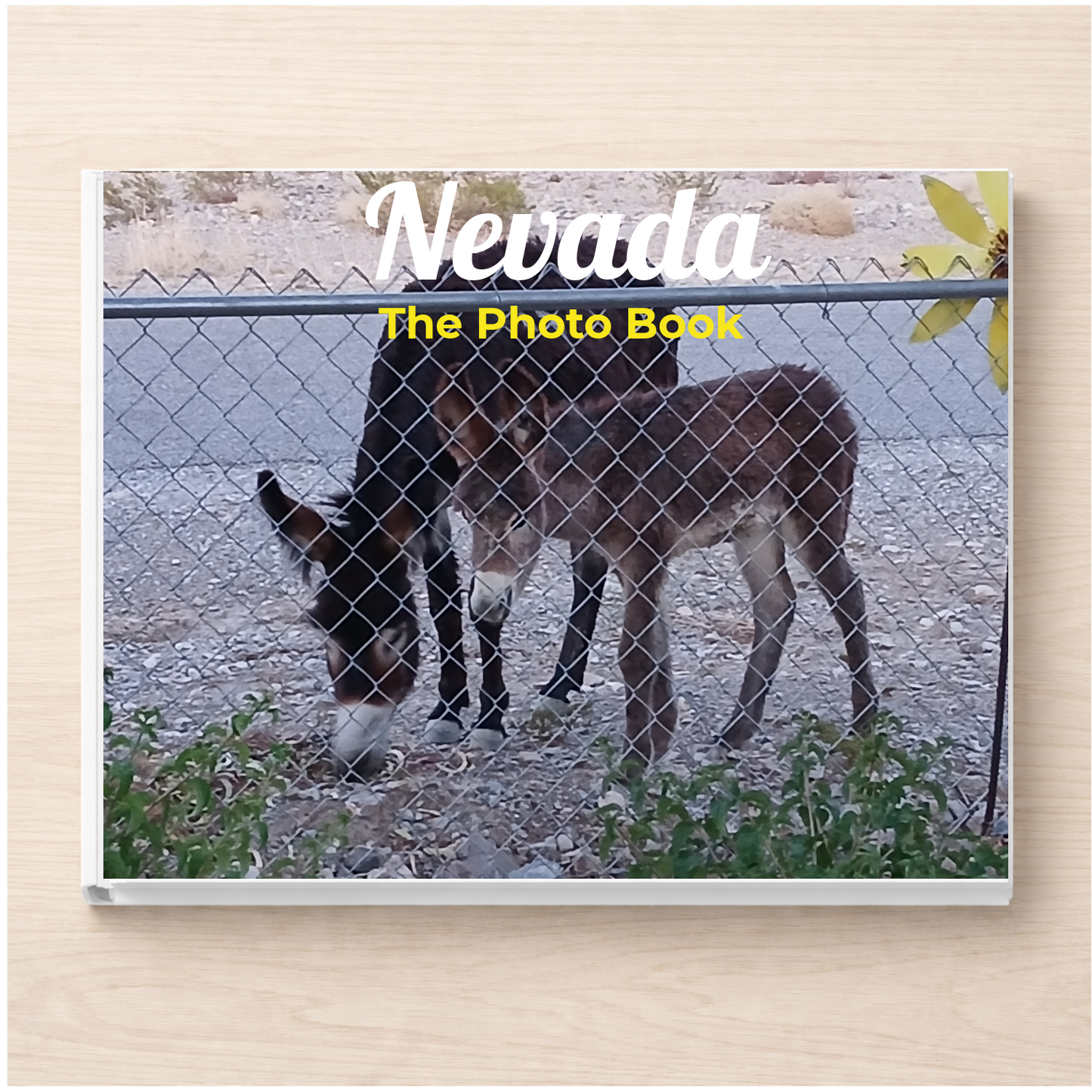 Nevada: The Photo Book