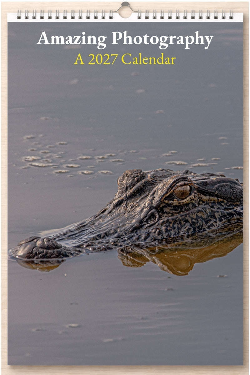 Amazing Photography: A 2027 Calendar