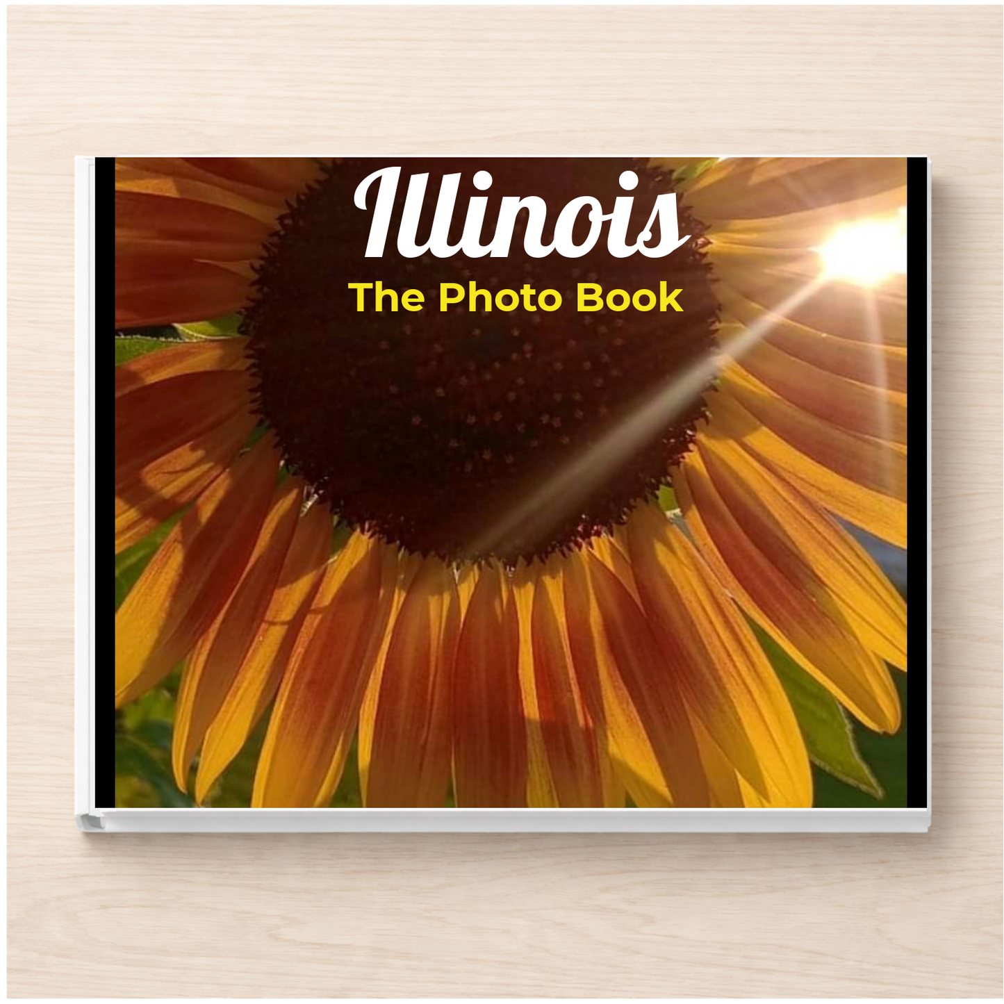 Illinois: The Photo Book