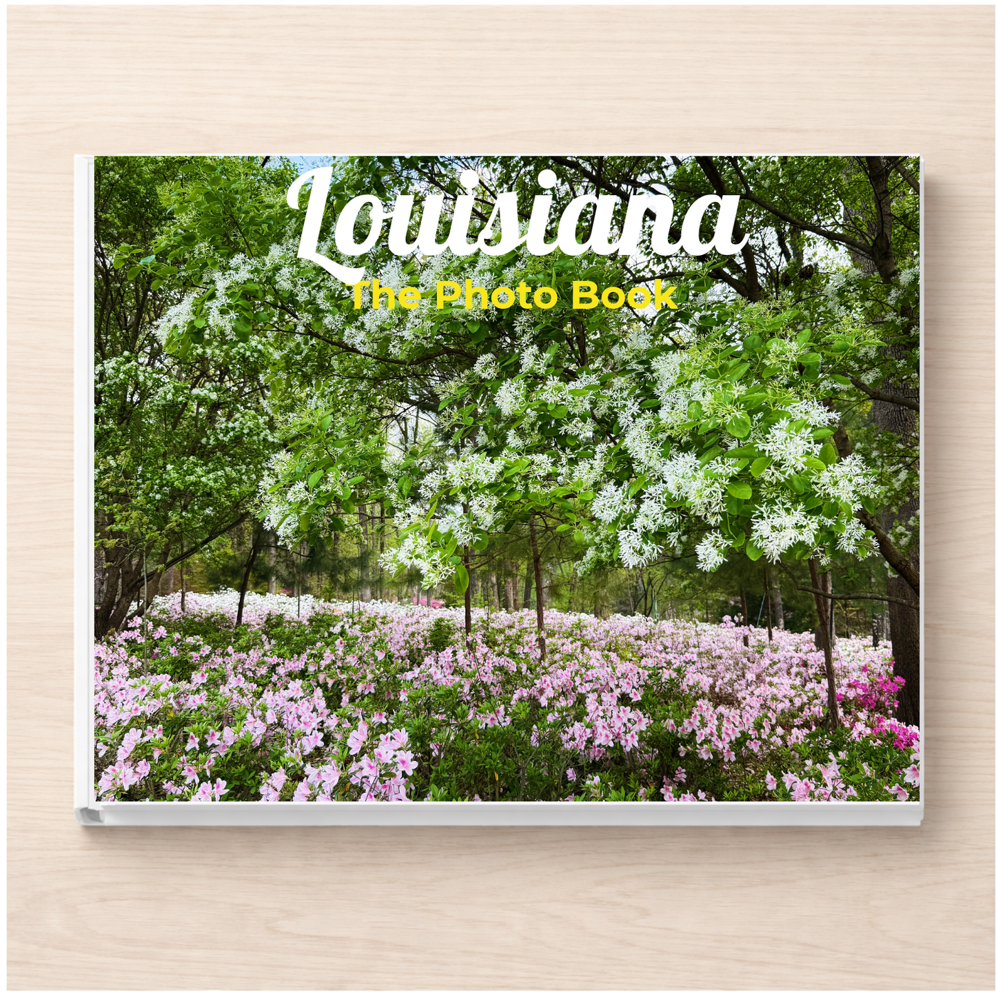 Louisiana: The Photo Book