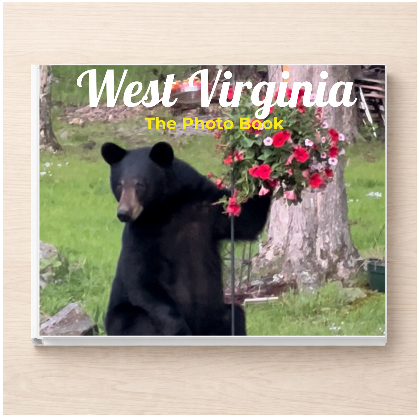 West Virginia: The Photo Book