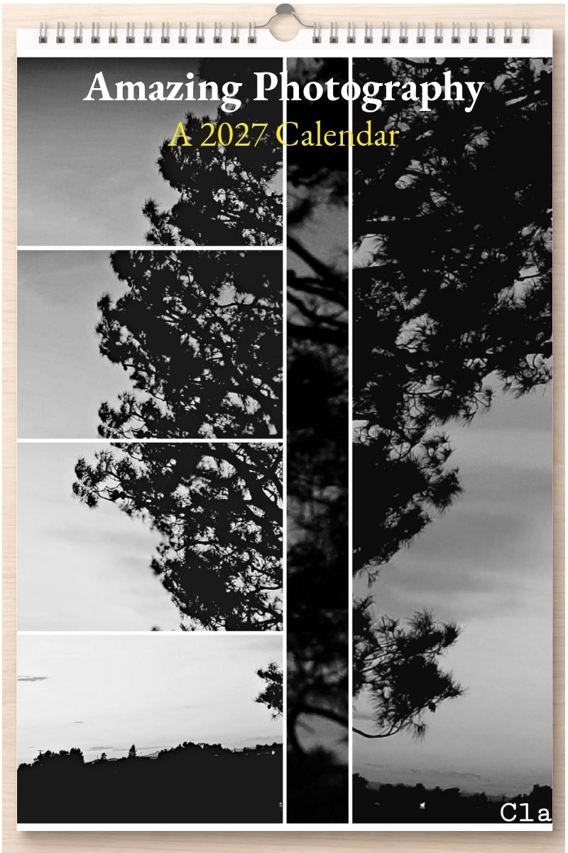 Amazing Photography: A 2027 Calendar