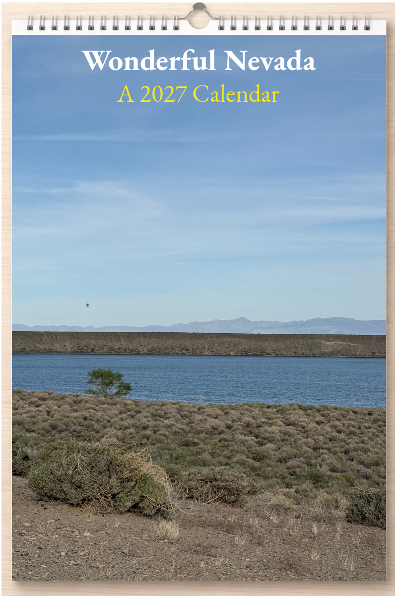 Wonderful Nevada: A 2027 Calendar