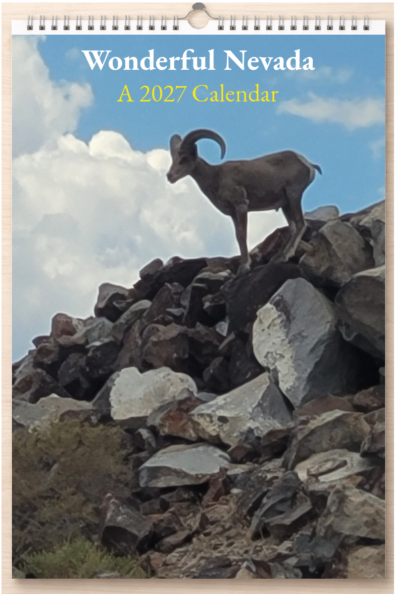 Wonderful Nevada: A 2027 Calendar