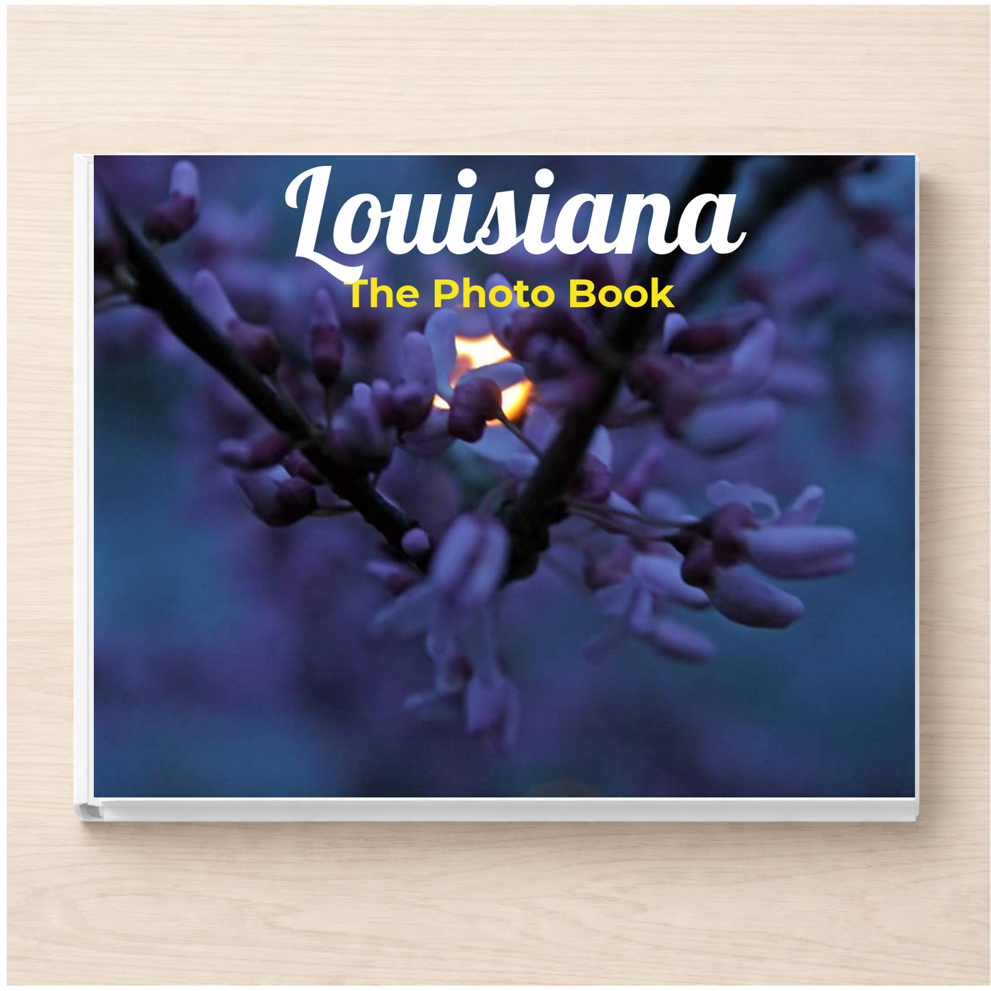 Louisiana: The Photo Book