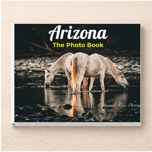 Arizona: The Photo Book
