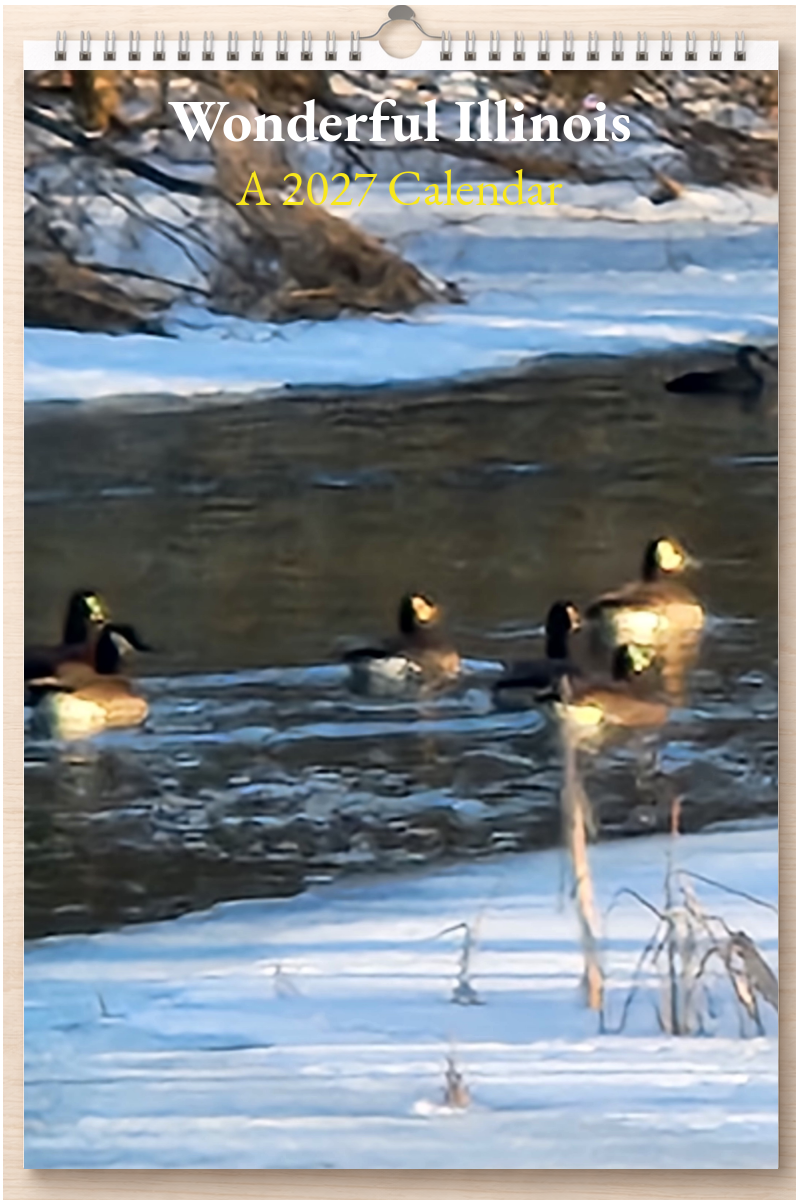 Wonderful Illinois: A 2027 Calendar
