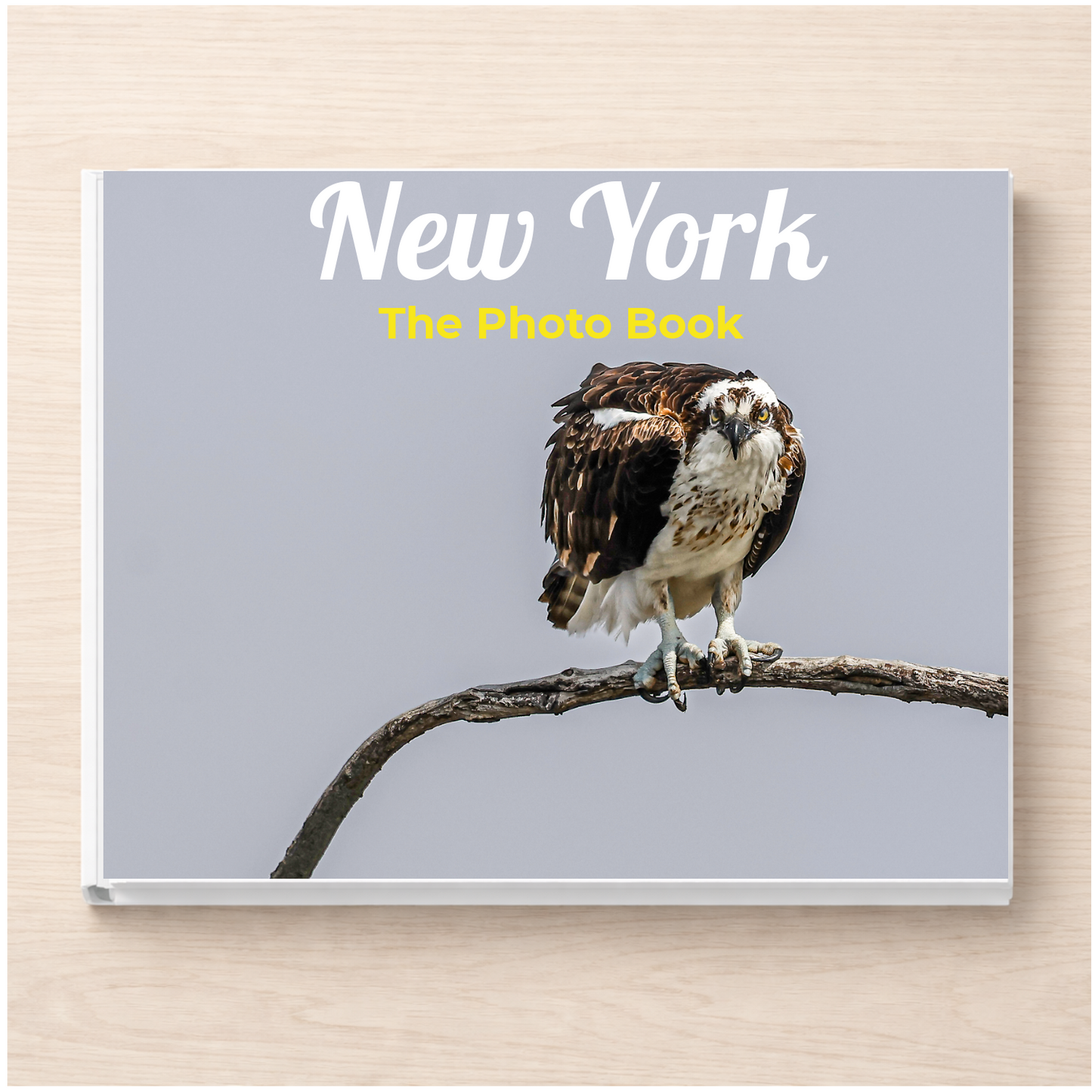 New York: The Photo Book