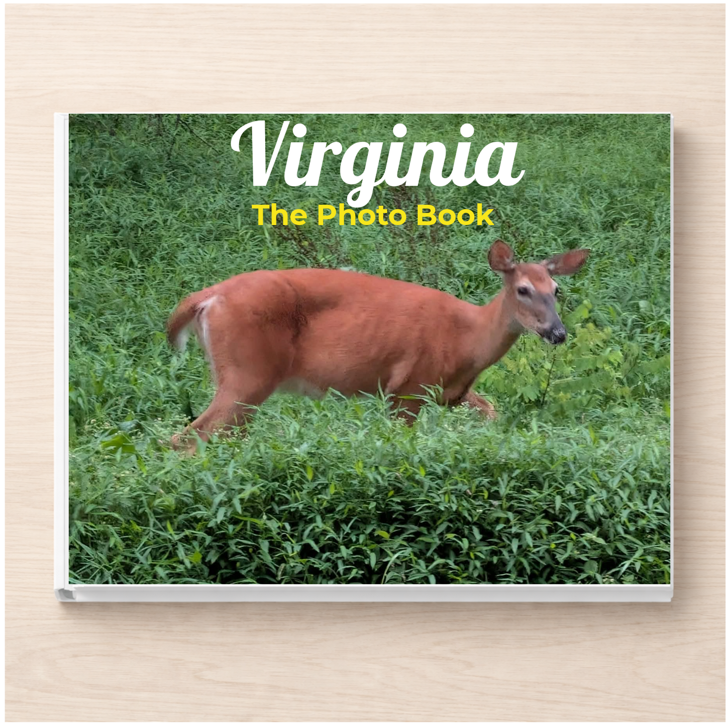Virginia: The Photo Book