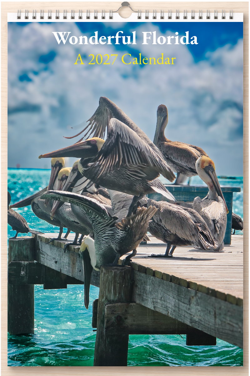 Wonderful Florida: A 2027 Calendar
