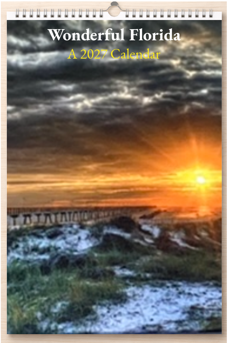Wonderful Florida: A 2027 Calendar