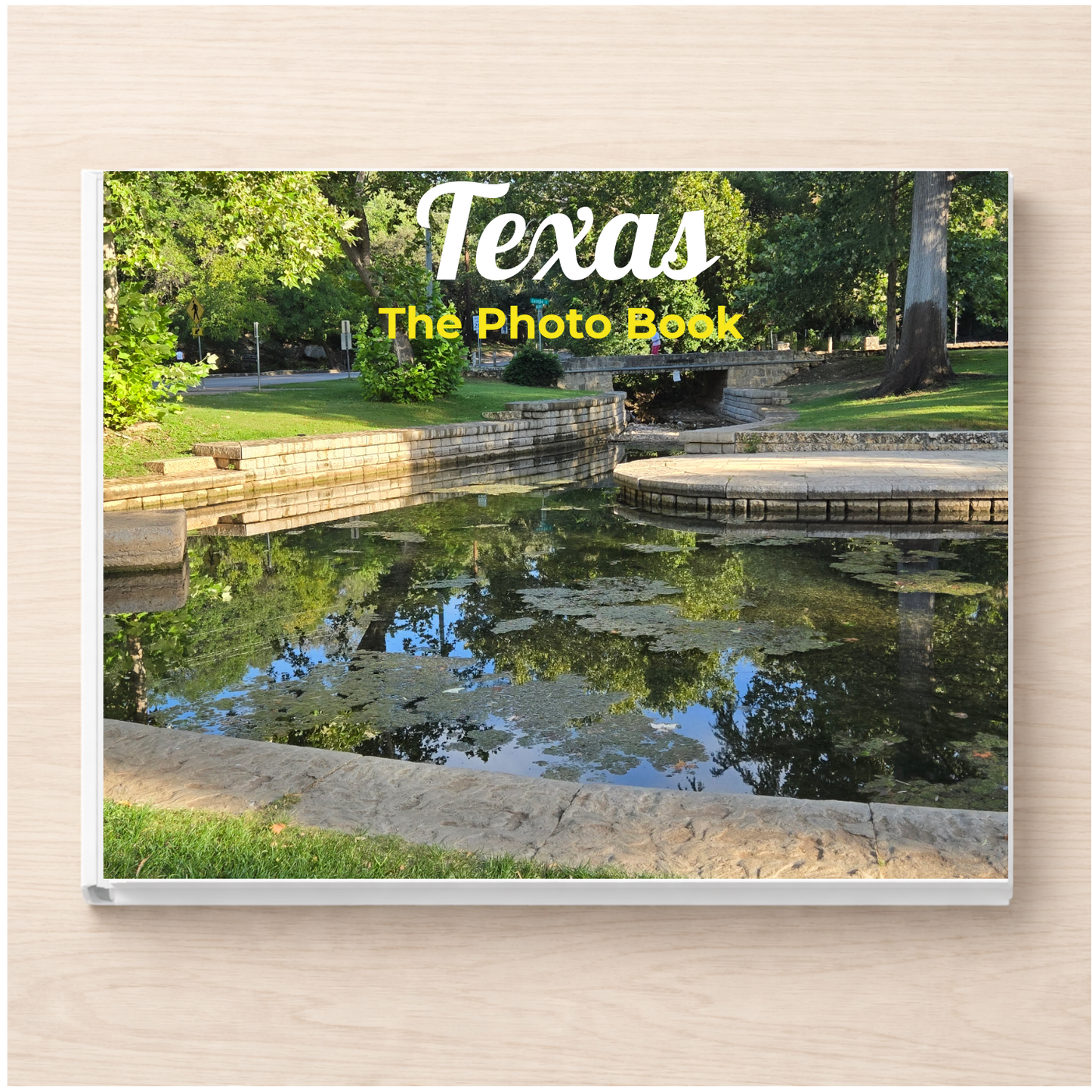 Texas: The Photo Book