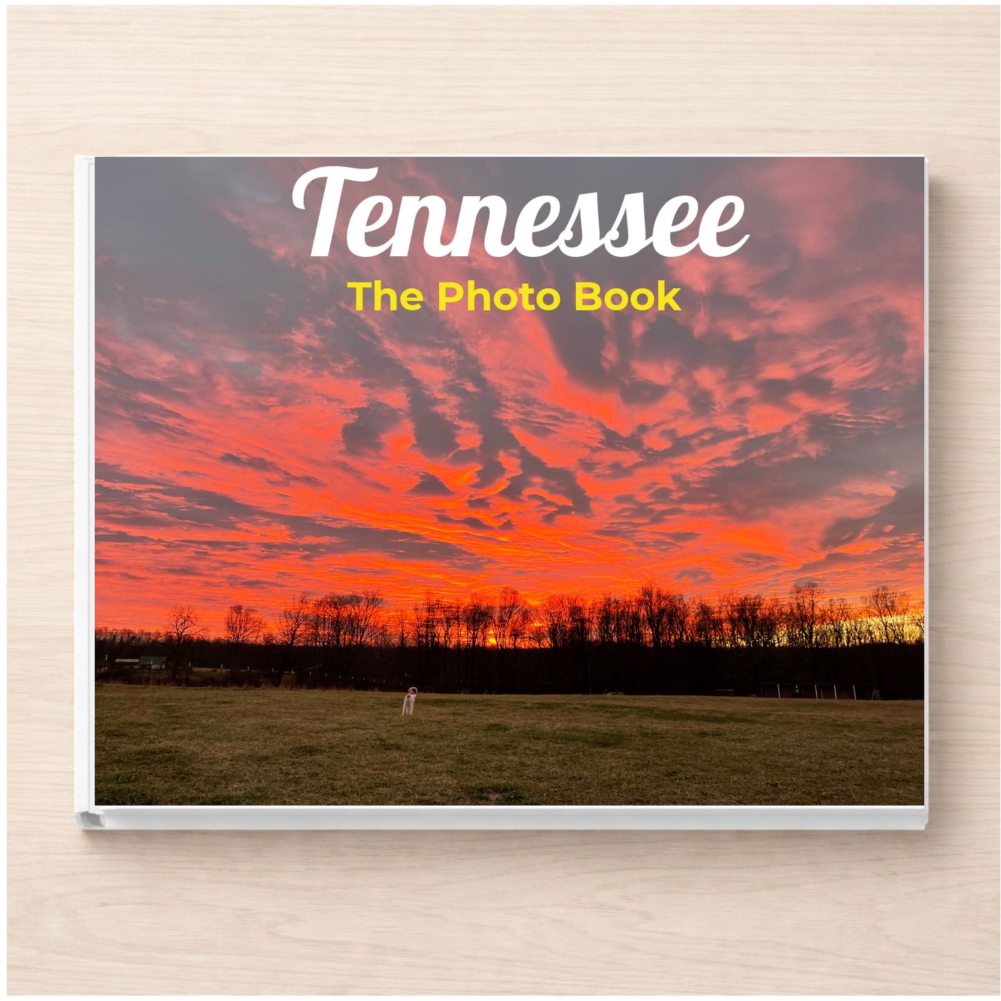Tennessee: The Photo Book