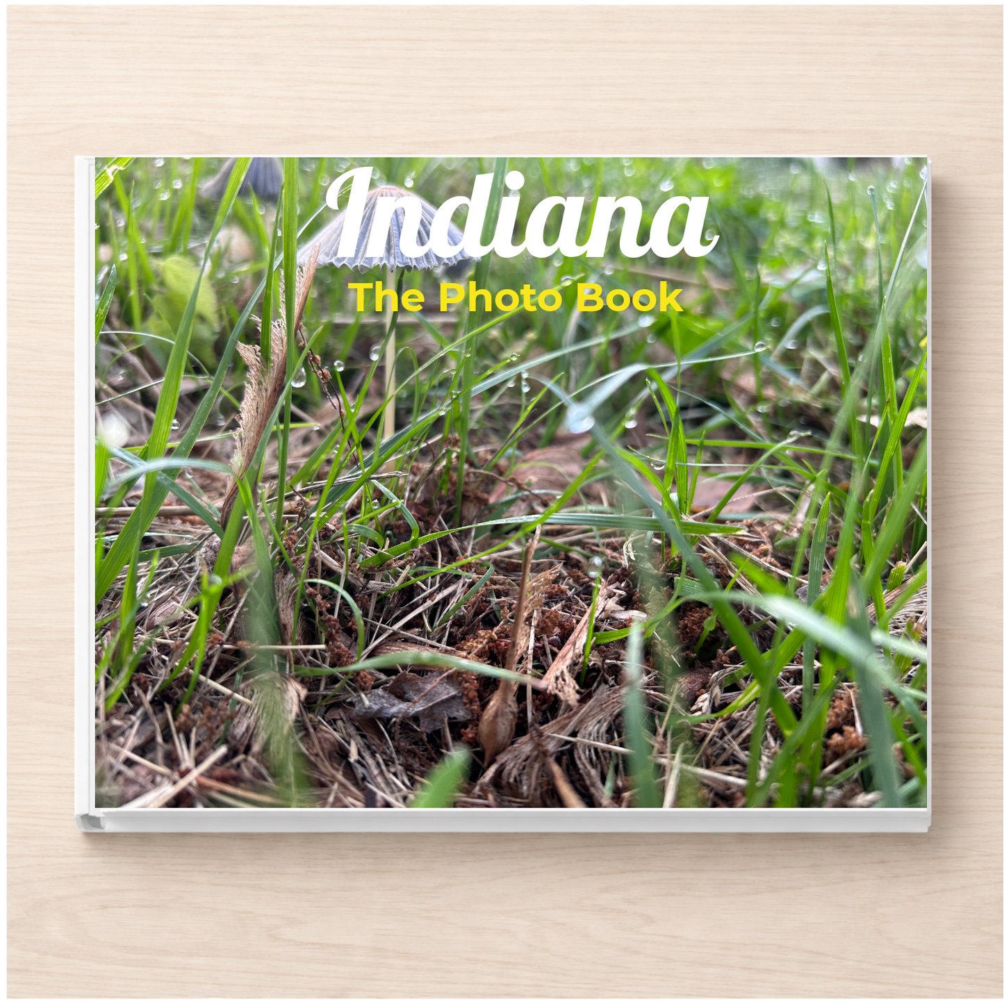 Indiana: The Photo Book
