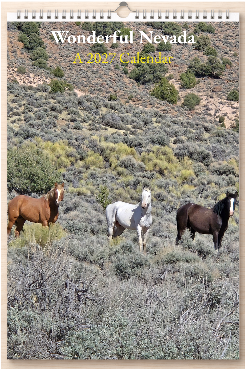 Wonderful Nevada: A 2027 Calendar