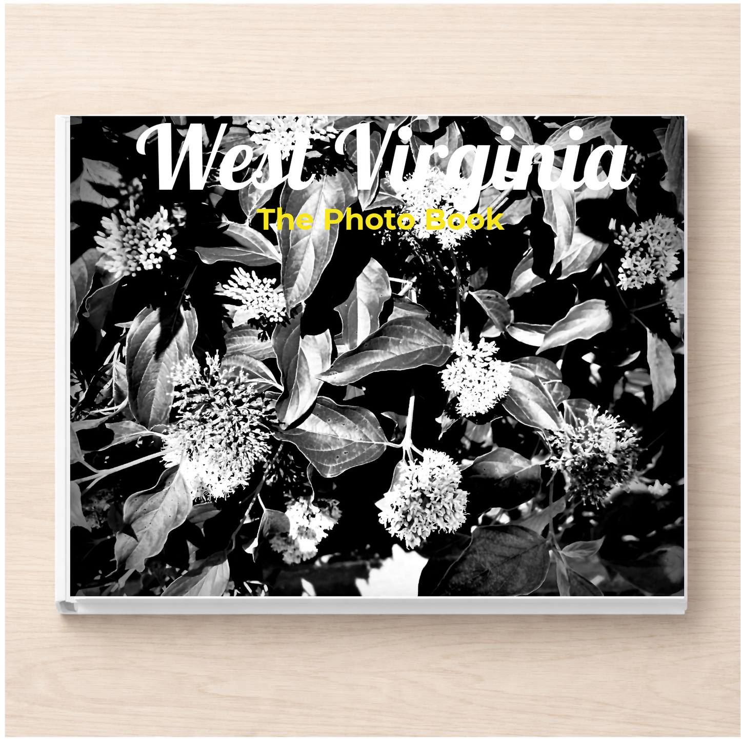 West Virginia: The Photo Book