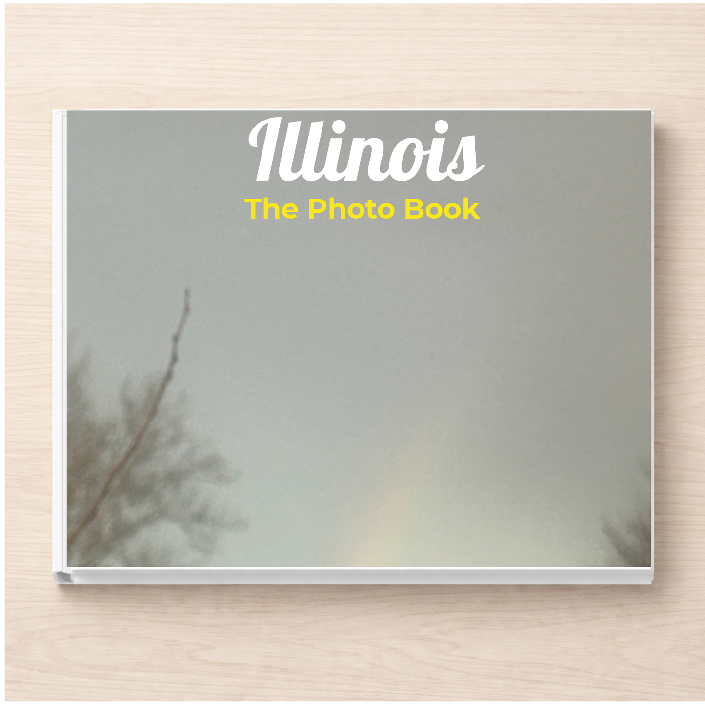 Illinois: The Photo Book