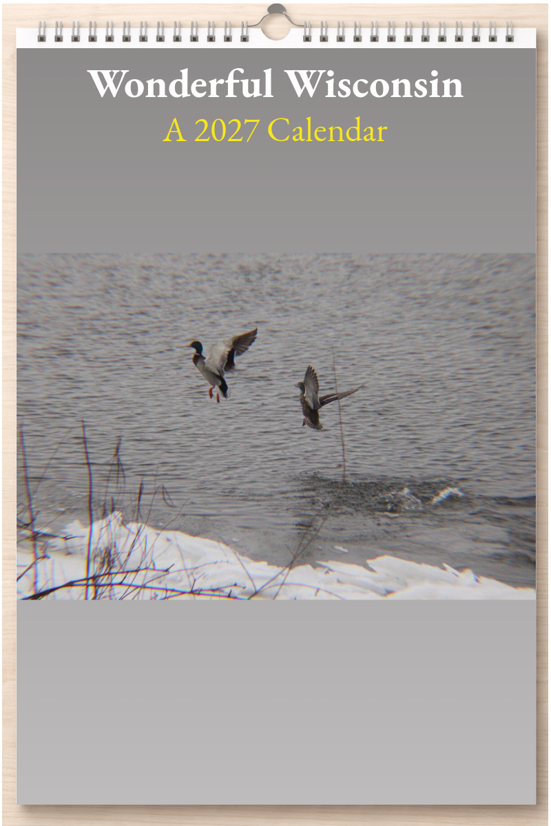 Wonderful Wisconsin: A 2027 Calendar