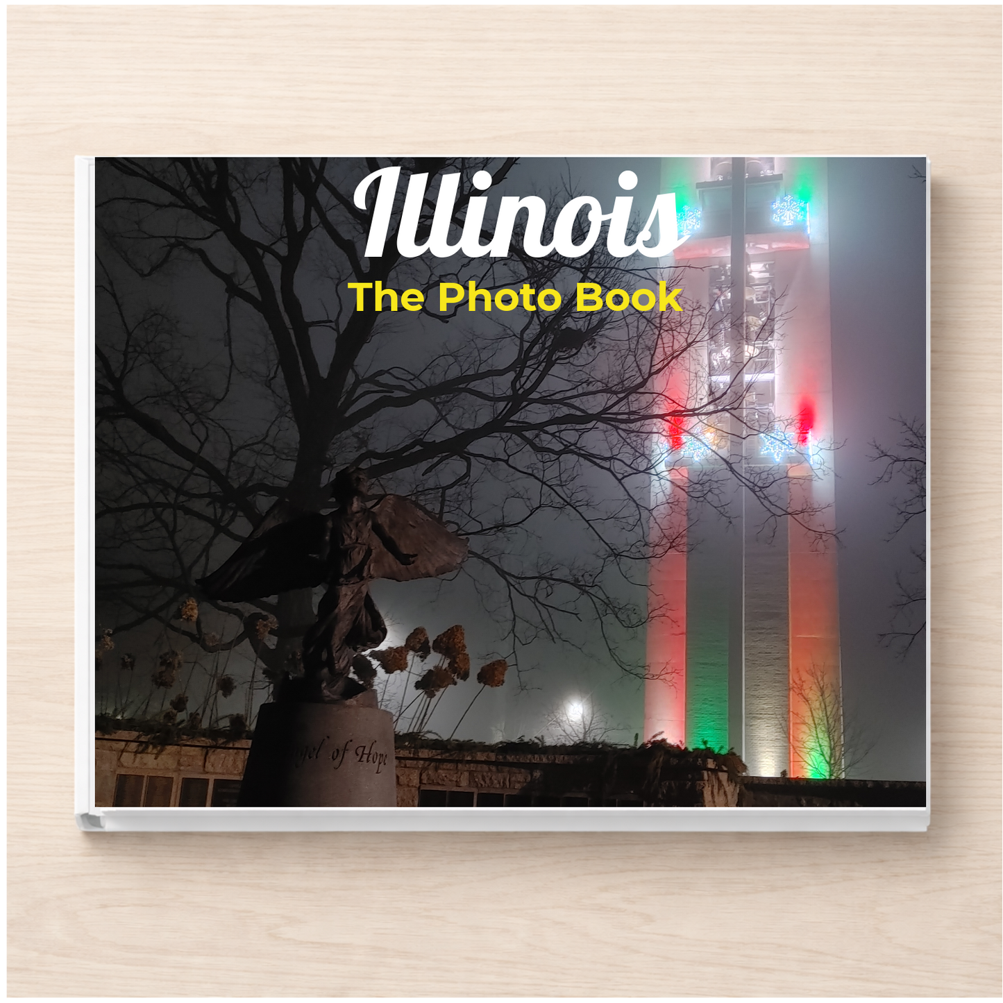 Illinois: The Photo Book