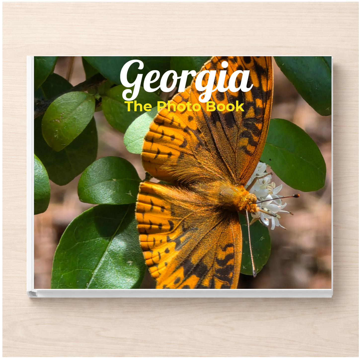 Georgia: The Photo Book