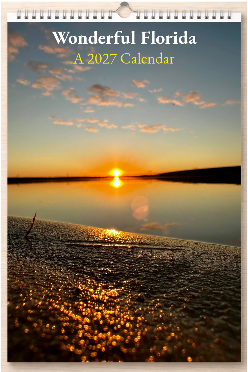 Wonderful Florida: A 2027 Calendar