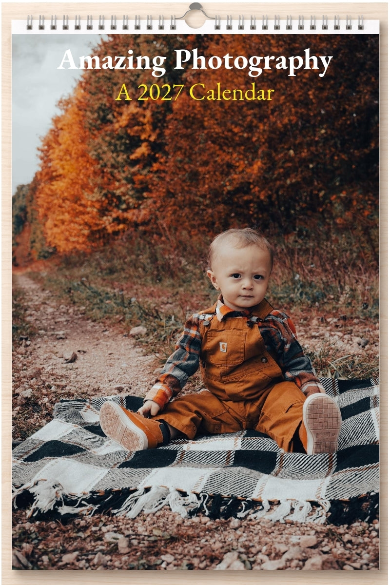 Amazing Photography: A 2027 Calendar
