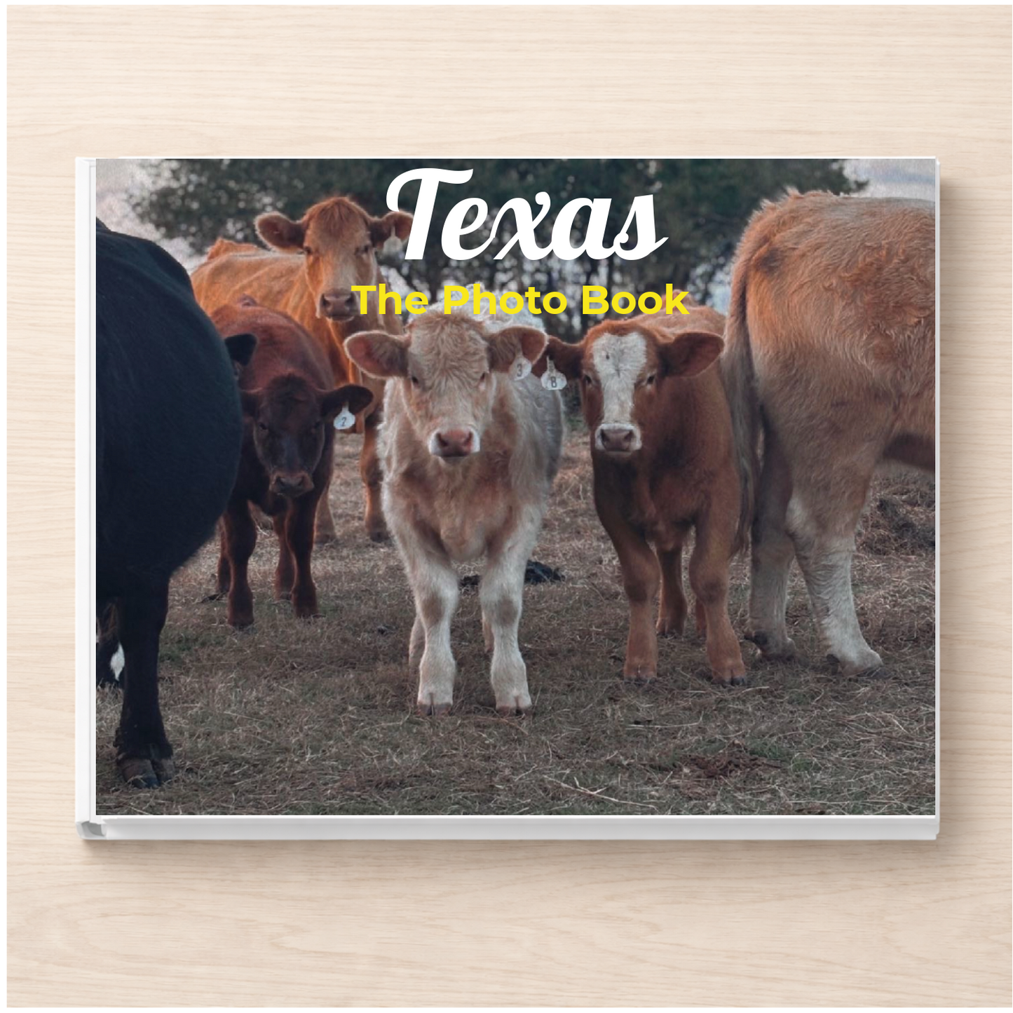 Texas: The Photo Book