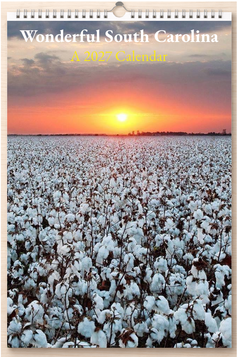 Wonderful South Carolina: A 2027 Calendar