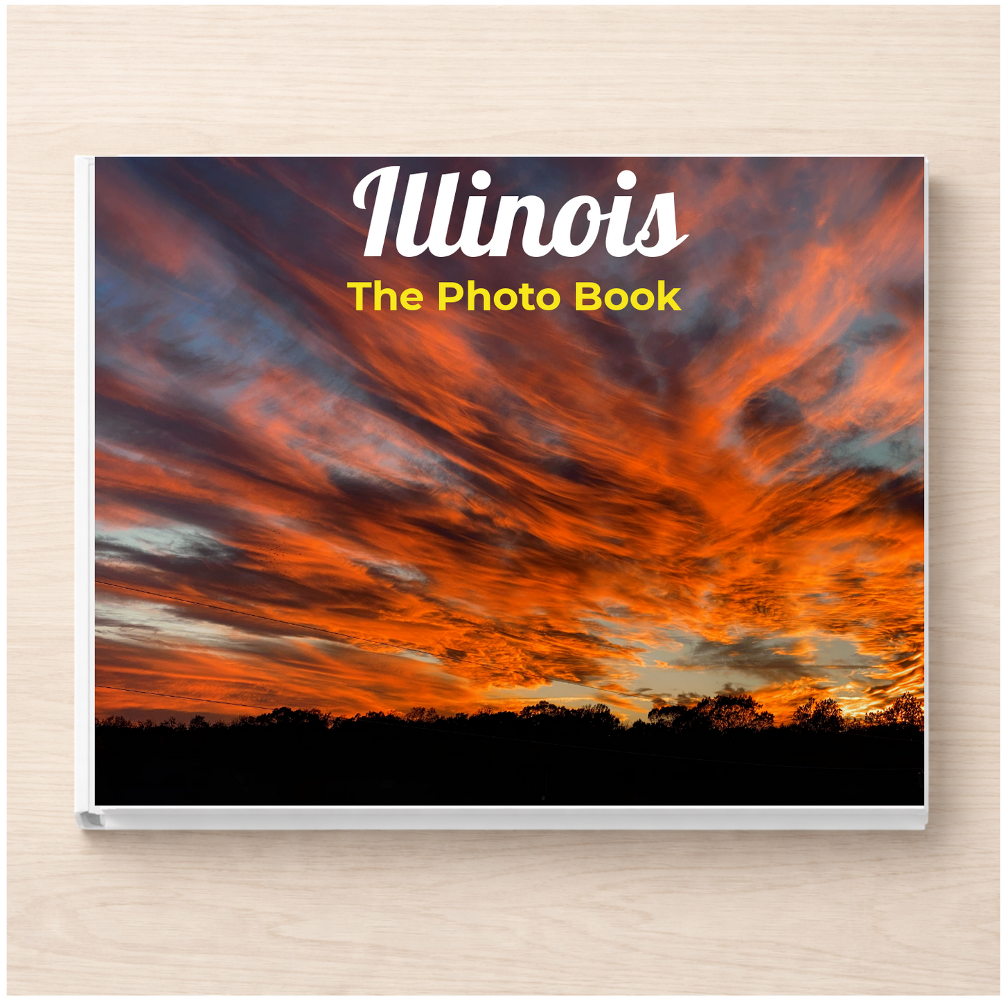 Illinois: The Photo Book
